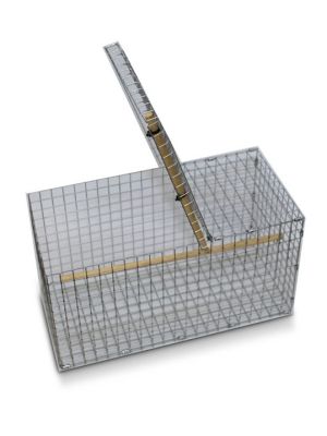 Chardonnay Bird Trap has an opening at the top 