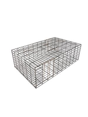 This is a multi-catch rigid trap that has two one-way entrances 