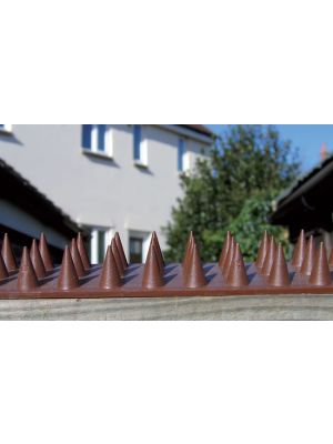 Brown anti climb prickler strip in situ