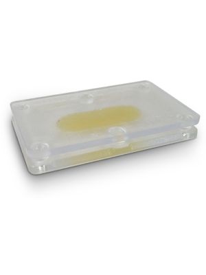 The Pro-Pest Bedbug Trap is clear to see when the trap is full 