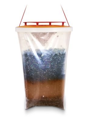 The Red Top Fly Trap that has captured flies 