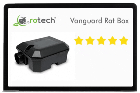 Earn points for reviews