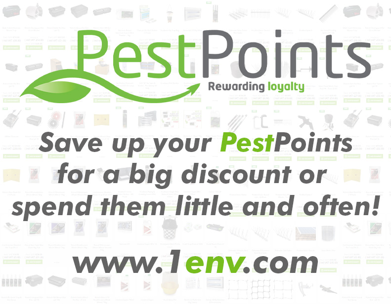 Spend points on anything