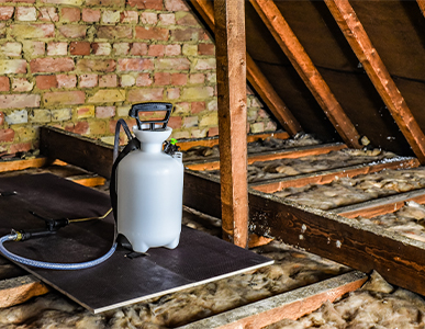 Staying Safe in Different Situations